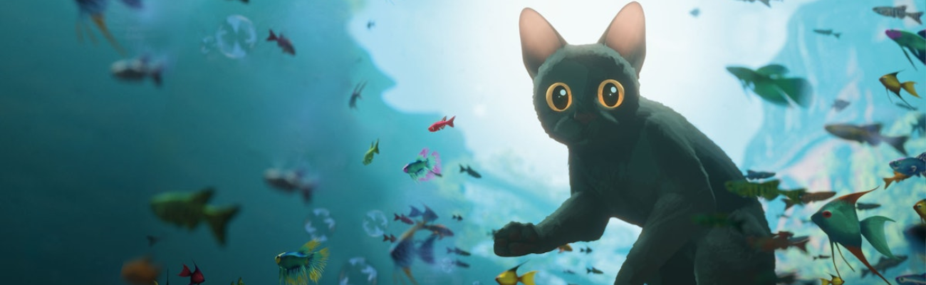 Banner Image: Flow (2024)