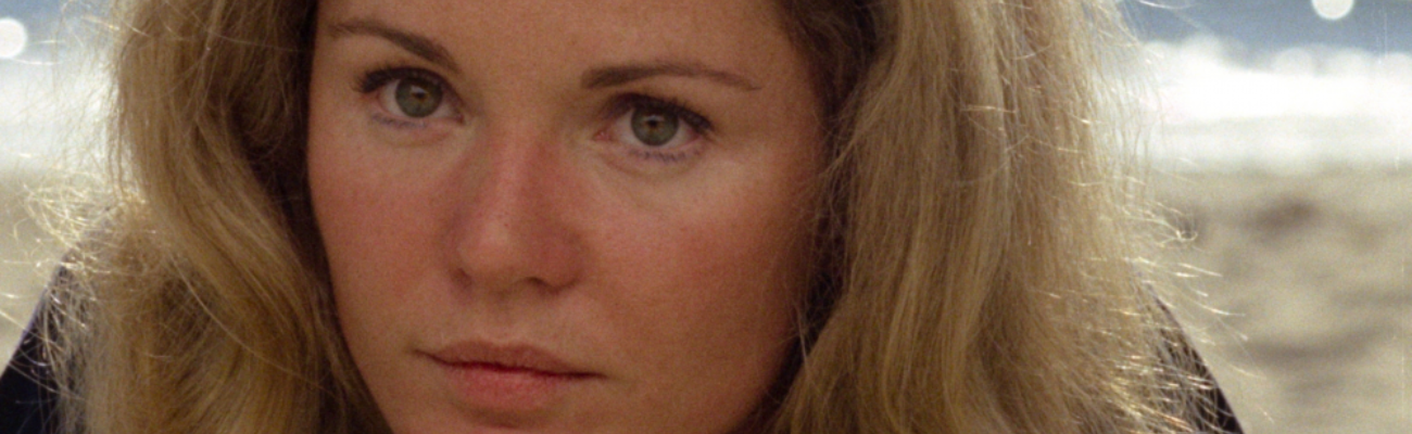 Banner Image: Play it as it Lays (1972)